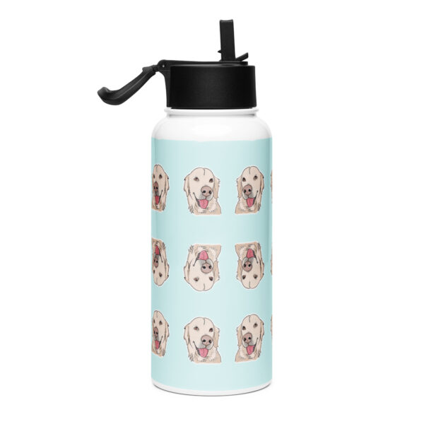 Pet Art Stainless steel water bottle with a straw lid - Image 4