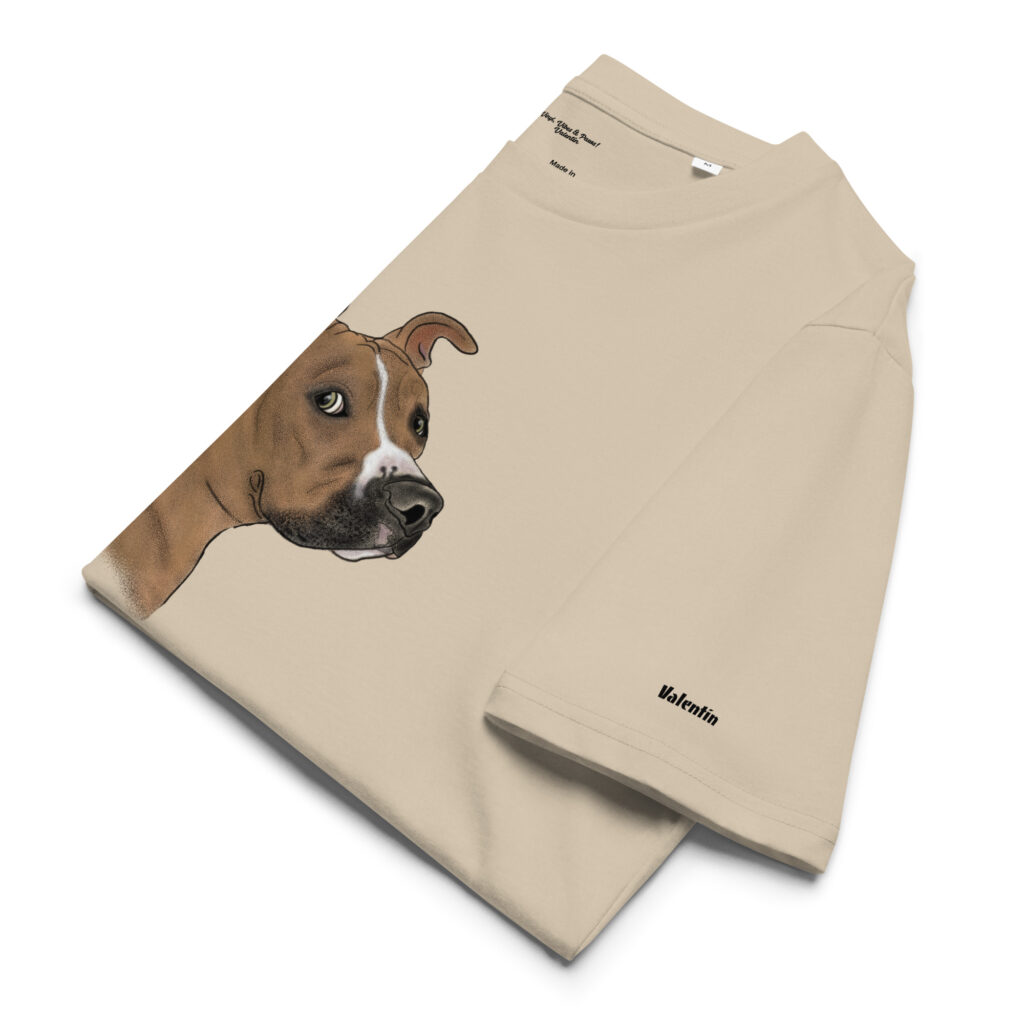 unisex-organic-cotton-t-shirt-desert-dust-front-685c3f961b90c